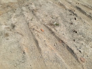 Dirt road in country Thailand