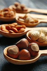 Spoons with hazelnuts, walnuts, pistachios, almonds, acorns and peanuts, close-up