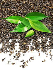 Pile of dry tea with green leaves on white background