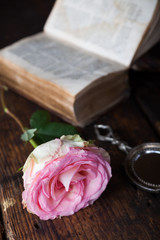 Fototapeta premium Stillleben mit Rose und altem Buch