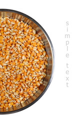 corn seed on white background#2