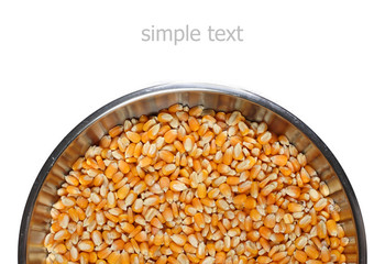 corn seed on white background#1