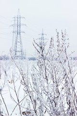 Electricity towers in winter. Blurred background, focus on dry snowy grass