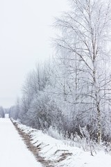 Winter road landscape