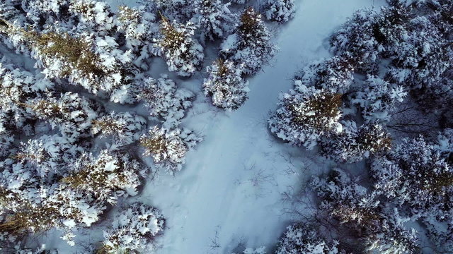 Aerial Video of Family Enjoying Winter and Sliding in Nature