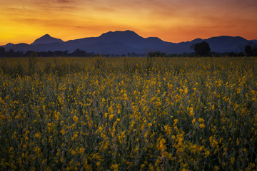 Obraz premium Fantastic mountains glowing by sunlight. Dark overcast sky