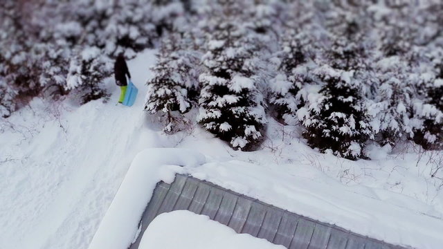 Aerial Video of Family Enjoying Winter and Sliding in Nature