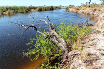African landscape with river