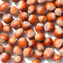 Scattering of hazelnuts