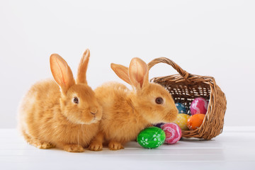 rabbits with Easter eggs on white background