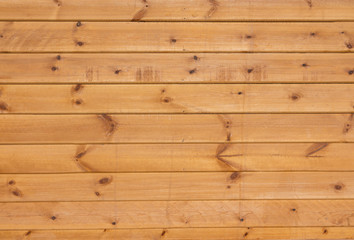 Fototapeta premium Wood Backdrop