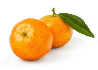 kumquat