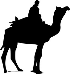 camel rider 