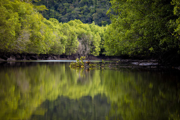 Mangrove river in Pulau Langkawi, Malaysia / マレーシアのランカウイ島で撮影したマングローブの絶景