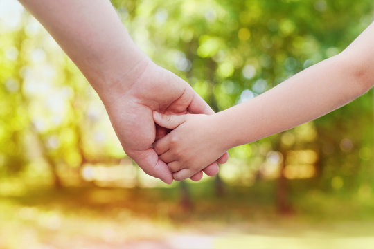 Fathers hand holding his little child in sunny day outdoor, united family and happy childhood concept, beautiful bokeh background