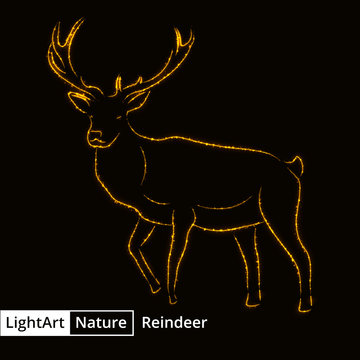 Reindeer silhouette of lights on black background