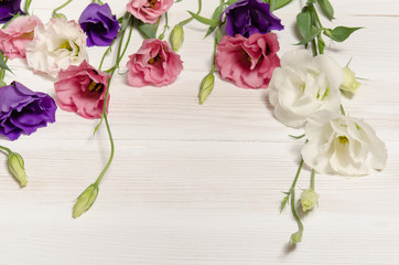 Colorful eustoma flowers on white wooden background