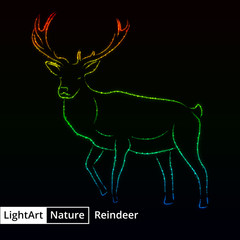 Reindeer silhouette of lights on black background