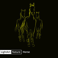 Fototapeta na wymiar Horse silhouette of lights on black background