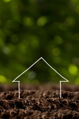 house growing in soil
