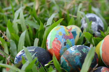 Easter eggs in grass