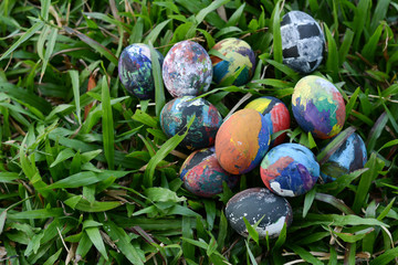 Easter eggs in grass
