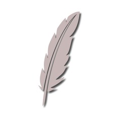 Feather sign icon