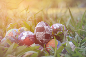 Easter eggs in grass