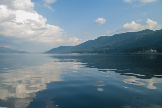 Summer lake landscape