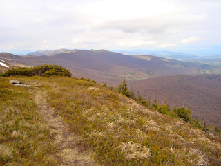 Carpathian mountains