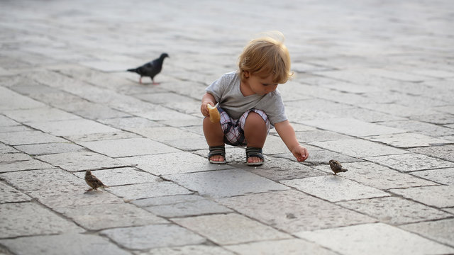 Baby boy feeding birds