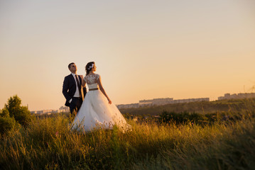 Young wedding couple in the field. Noise and toned image