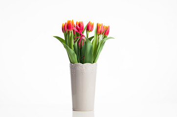 tulips in a vase on a white background
