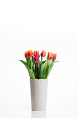 Naklejka na ściany i meble tulips in a vase on a white background