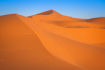 Plakat Sand dunes in the Sahara Desert, Merzouga, Morocco