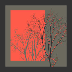 Square abstract illustration tree branch on red light with shado