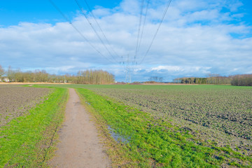 Fototapeta na wymiar Plowed field below a blue cloudy sky