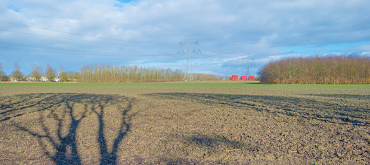 Plowed field below a blue cloudy sky