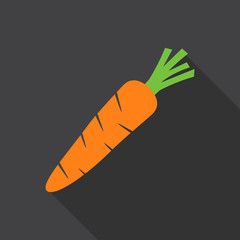 Carrot vector icon flat design