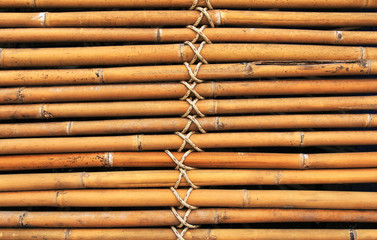 Bamboo wood background