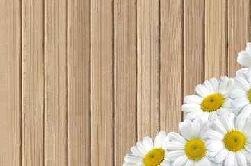 Obraz premium white chamomile flowers on wooden table background