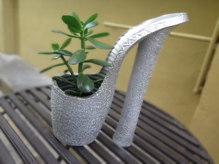 Money plant in silver shoe