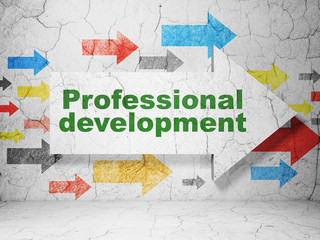 Education concept: arrow with Professional Development on grunge wall background