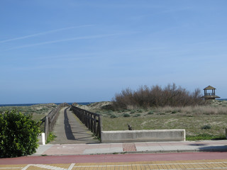Wooden walkway across dunes