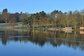 Fototapeta na wymiar A lake at an English country estate in West Sussex England in Winter