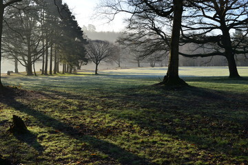 A winters morning in the UK © paulbriden
