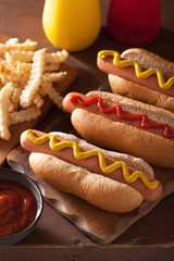 grilled hot dogs with mustard ketchup and french fries