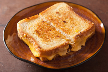 Fototapeta na wymiar homemade grilled cheese sandwich for breakfast
