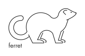Vector line figure of ferret on a white background.