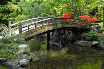 Fototapeta premium 京都御所 庭園